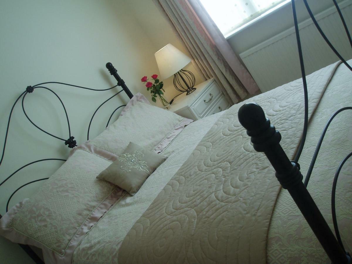 Copper Beech Rooms New Quay Exteriér fotografie